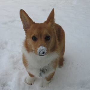 Meet your Posher, Karin